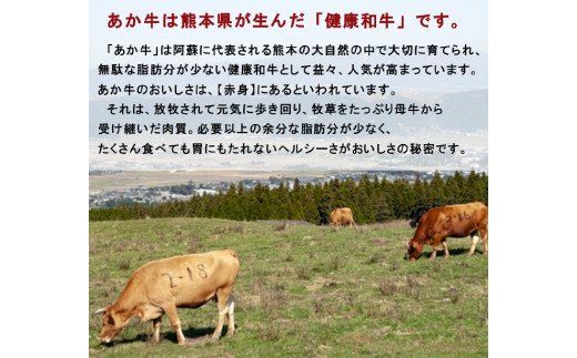 熊本県産 GI認証取得 くまもとあか牛 ロースブロック1kg