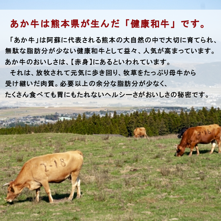 熊本県産 GI認証取得 くまもとあか牛 すき焼き用切り落し 合計600g