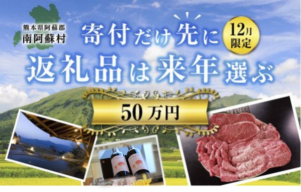 50万円『寄付だけ先に2025→返礼品は来年選ぶ』12月限定！