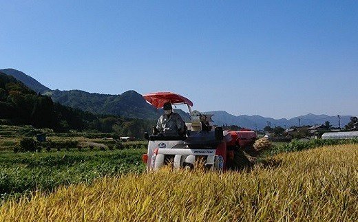 令和5年産 特別栽培米 ヒノヒカリ玄米 10kg