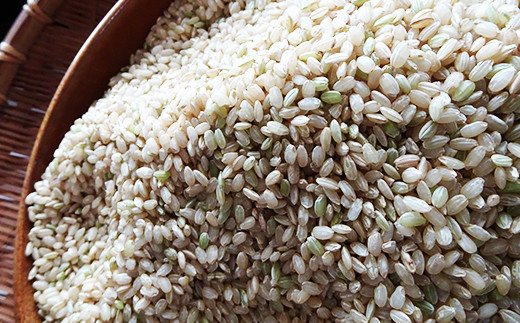 令和5年産特別栽培米 いのちの壱(玄米)10kg×2