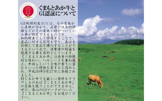 熊本県産 GI認証取得 くまもとあか牛 ロースブロック 2kg