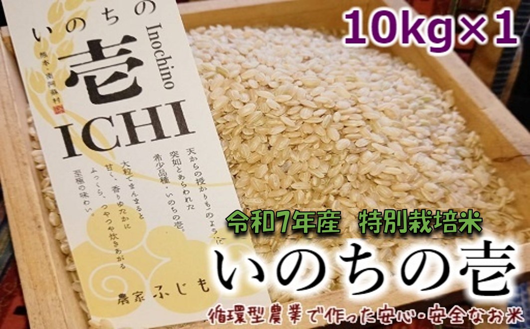【数量限定！農家から直接お届け】令和7年産特別栽培米 いのちの壱(玄米)10kg×1