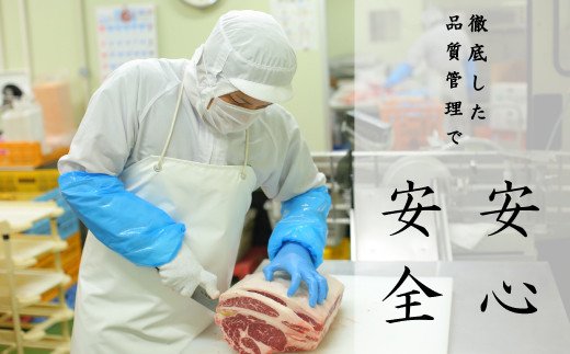 熊本県産 GI認証取得 くまもとあか牛100％使用 くまもとあか牛ハンバーグ 150g×10