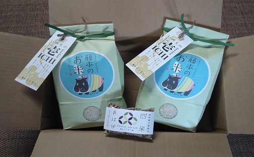 令和5年産特別栽培米 いのちの壱(白米)2kg×2