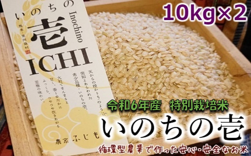 令和6年産特別栽培米 いのちの壱(玄米)10kg×2