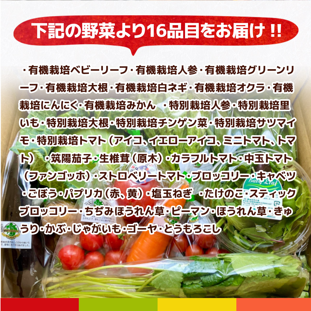 AB004【12か月連続定期便】熊本季節の野菜セット 8品目	