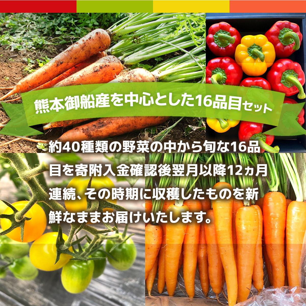 AB004【12か月連続定期便】熊本季節の野菜セット 8品目	