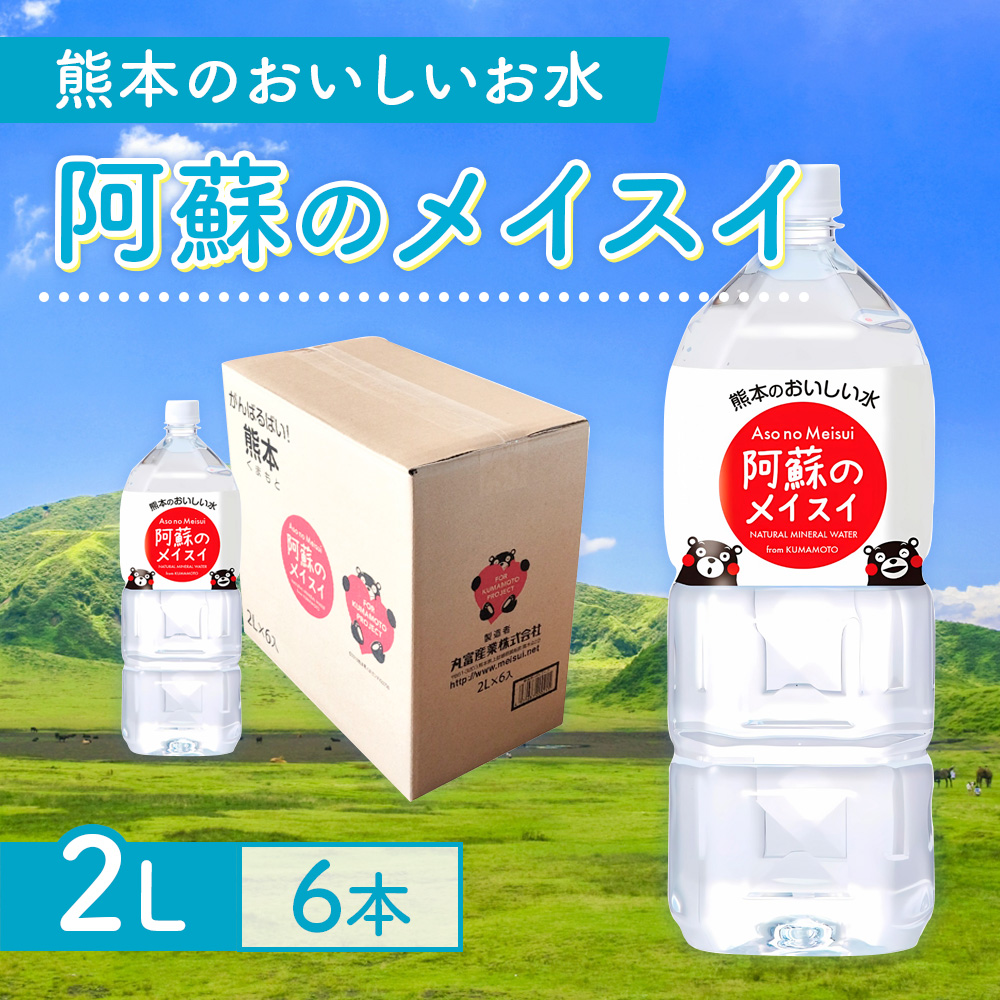 【2カ月定期便】熊本のおいしいお水 阿蘇のメイスイ 2L 1ケース×2回（計12本）CA029
