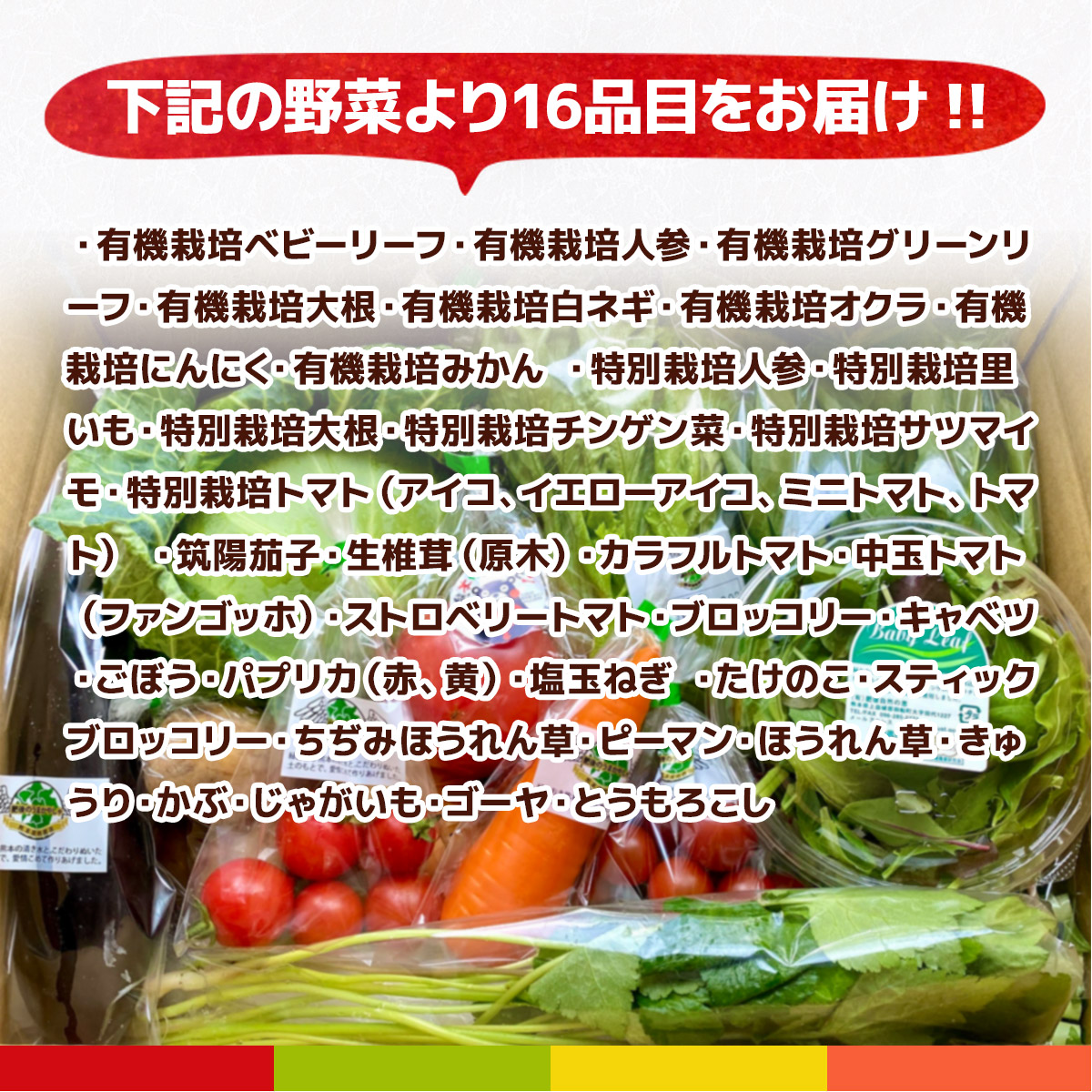 AB003【6か月連続定期便】熊本季節の野菜セット 8品目	