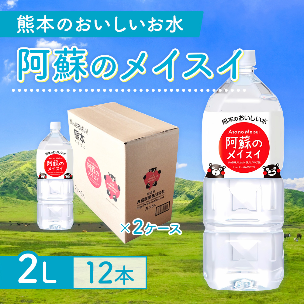 【2カ月定期便】熊本のおいしいお水 阿蘇のメイスイ 2L 2ケース×2回（計24本）CA029