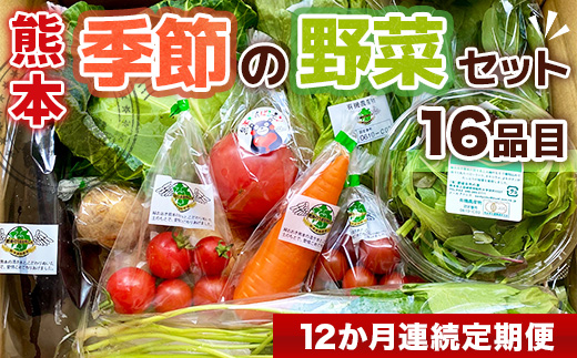 AB004【12か月連続定期便】熊本季節の野菜セット 8品目	