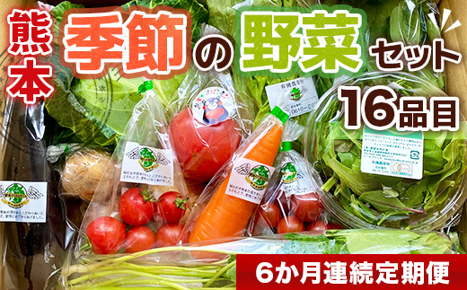 AB003【6か月連続定期便】熊本季節の野菜セット 8品目	