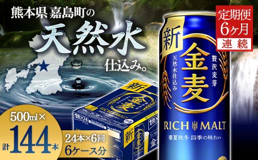 FKK19-789_【6ヶ月連続】サントリー金麦500ml×1ケース(24本） 熊本県 嘉島町 ビール