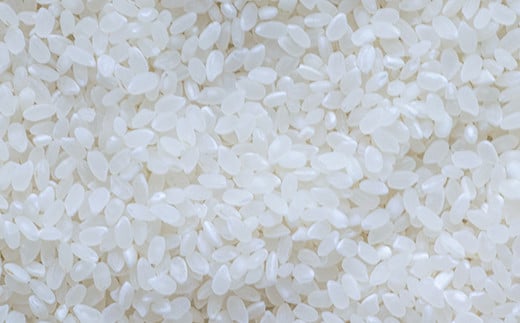 FKK19-136_【3ヵ月定期便】特別栽培米「くまさんの輝き」5kg