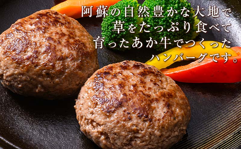 FKK19-225_【3ヵ月定期便】あか牛100％ハンバーグ（100g×10個） 熊本県 嘉島町