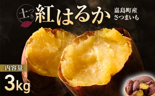 FKK19-631_【先行予約】嘉島町産さつまいも「紅はるか」3kg 土付き ＜2024年11月下旬から順次発送＞ サツマイモ イモ 焼き芋 野菜