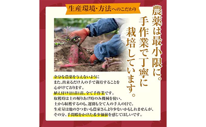 FKK19-967_【先行予約】嘉島町産さつまいも「紅はるか」10kg 土付き