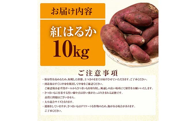 FKK19-967_【先行予約】嘉島町産さつまいも「紅はるか」10kg 土付き