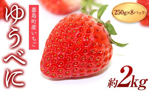 FKK19-663_ 【サイズ混合】嘉島町産いちご「ゆうべに」 約2kg (250g×8パック) ※2025年1月より順次発送