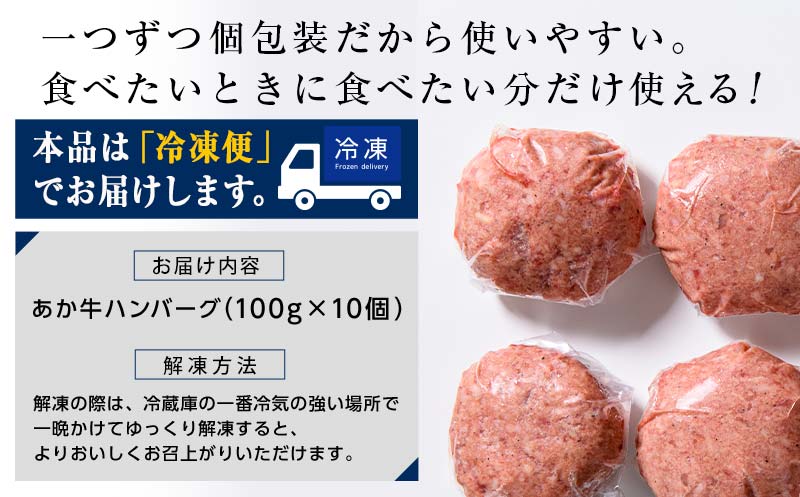 FKK19-219_あか牛100％ハンバーグ（100g×10個） 熊本県 嘉島町