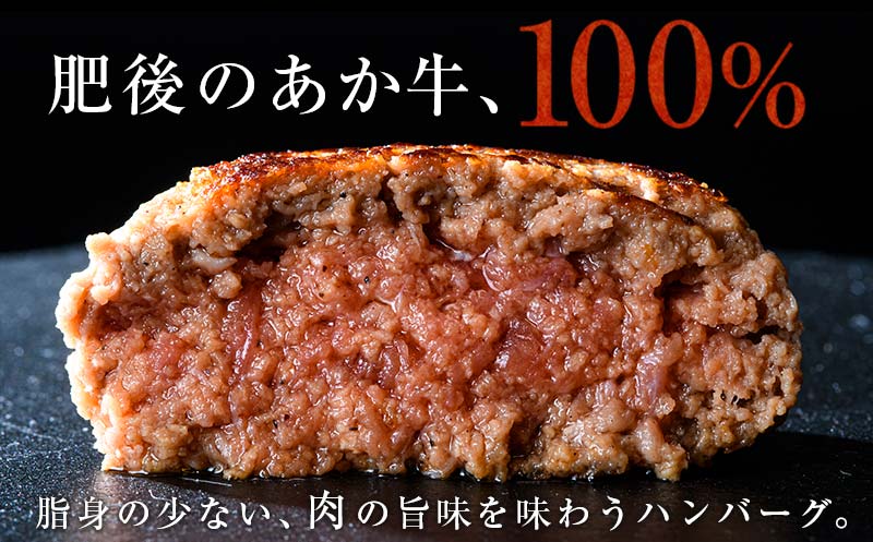 FKK19-225_【3ヵ月定期便】あか牛100％ハンバーグ（100g×10個） 熊本県 嘉島町