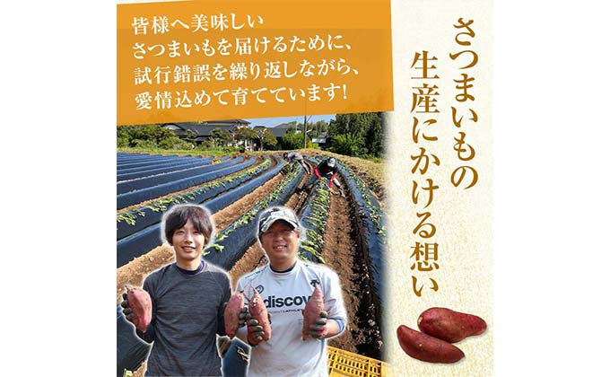 FKK19-631_【先行予約】嘉島町産さつまいも「紅はるか」3kg 土付き ＜2024年11月下旬から順次発送＞ サツマイモ イモ 焼き芋 野菜