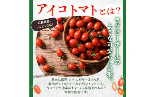 FKK19-874_【2カ月定期】アイコトマト・カラフルトマト 各1kg