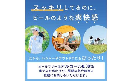 FKK19-916_【2回定期便】サントリー オールフリー 350ml×2ケース（48本入）