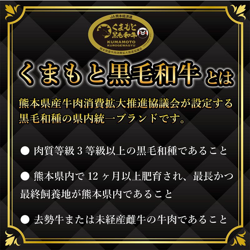 FKK19-937_ 【厳選希少部位】【A4～A5】 くまもと黒毛和牛ミスジステーキ 約1kg（100g×10）