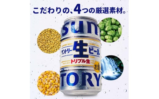 FKK19-899_ 【2回定期便】 サントリー 生ビール トリプル生 350ml ×1ケース (24缶)  熊本県 嘉島町 ビール サン生