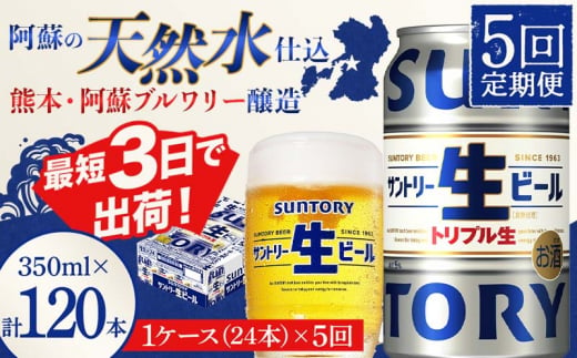 FKK19-902_ 【5回定期便】 サントリー 生ビール トリプル生 350ml ×1ケース (24缶)  熊本県 嘉島町 ビール サン生