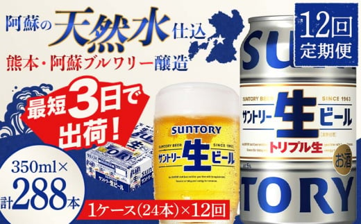 FKK19-904_ 【12回定期便】 サントリー 生ビール トリプル生 350ml ×1ケース (24缶)  熊本県 嘉島町 ビール サン生