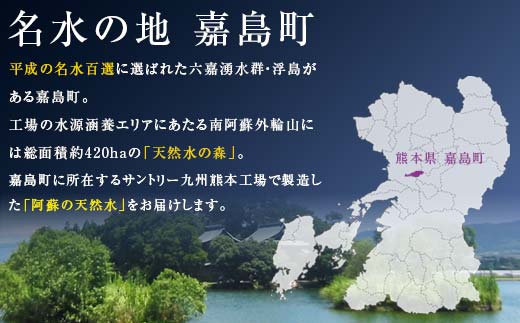 FKK19-941_【2回定期便】 サントリー 阿蘇の天然水 【550mlペット×24本】 サントリー九州熊本工場製造 ミネラルウォーター ナチュラル 水分補給 備蓄 軟水 ペットボトル 嘉島町