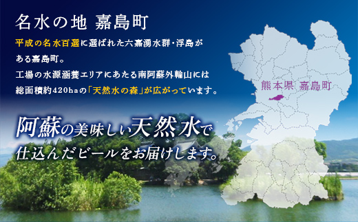 FK7-0171_【サントリー生ビール・金麦交互4回定期便】各350ml ×24本 熊本県 嘉島町 ビール ギフト 贈り物 酒 アルコール