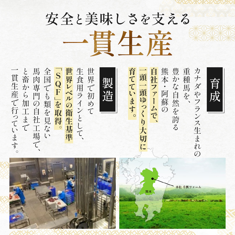 FKK19-971_馬刺し国産赤身ブロック400g 馬刺し 赤身 肉 馬肉