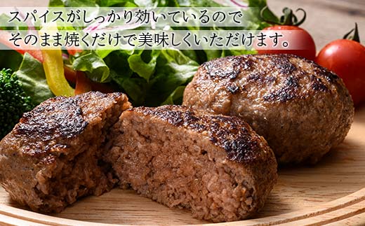 FKK19-997_あか牛入りハンバーグ100g×12個 牛 ハンバーグ 牛肉 ビーフ 肉 食品