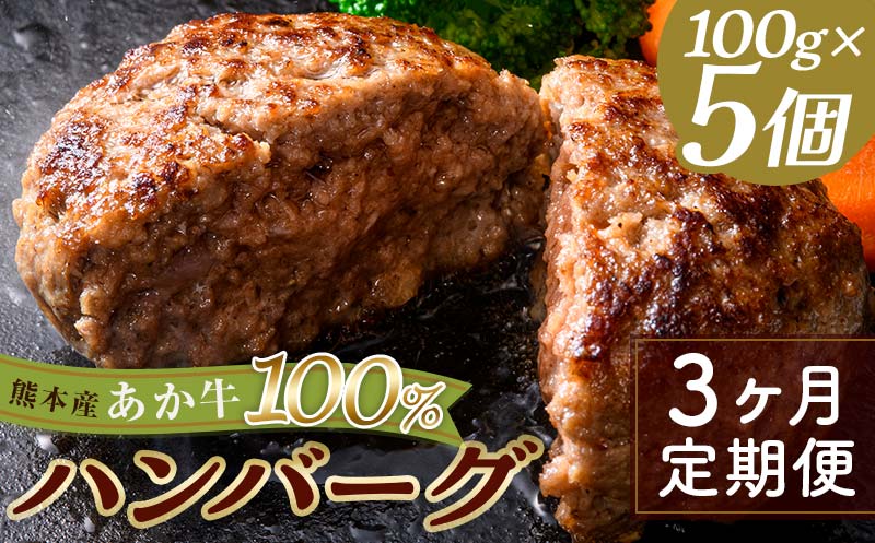 FKK19-999_【3ヵ月定期便】あか牛100％ハンバーグ（100g×5個）牛 ハンバーグ 牛肉 ビーフ 肉 食品