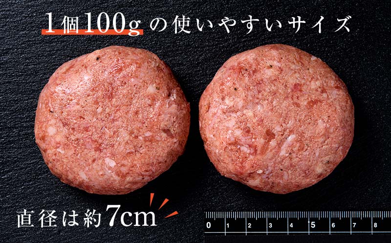 FKK19-999_【3ヵ月定期便】あか牛100％ハンバーグ（100g×5個）牛 ハンバーグ 牛肉 ビーフ 肉 食品