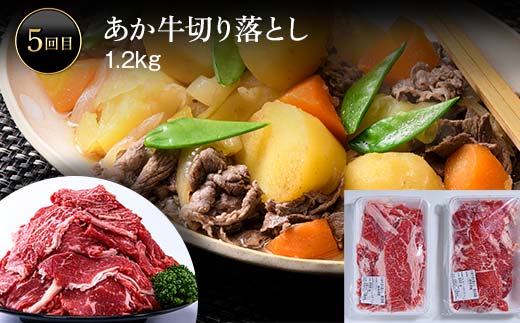 FK7-0249_あか牛堪能定期便 全5回 サーロイン ステーキ ハンバーグ 味付けカルビ ローストビーフ 切り落とし あか牛 肉 牛肉