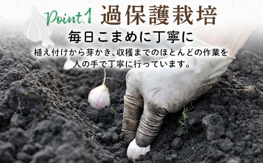 FK7-0180_縲仙郁。御コ育エ縲大牙ウカ逕コ逕」 荵セ辯・縺ォ繧薙↓縺500g