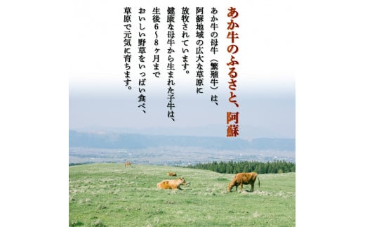 FKK19-991_ããçåãèœãšã2.4kgïŒ300gÃ8ããã¯ïŒ