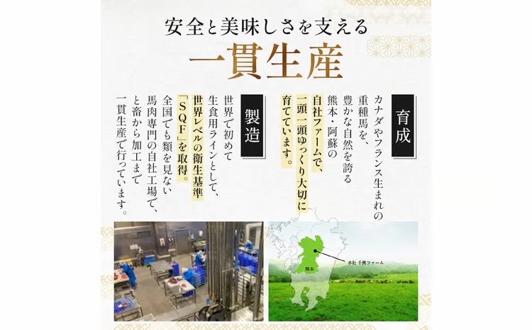 FK7-0346_ 国産馬刺しタタキブロック320g 馬刺し 赤身 肉 馬肉