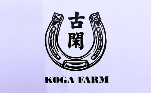 FK7-0216_純国産馬 バラヒモ 200g 肉 馬肉 バラヒモ 熊本県 熊本 嘉島