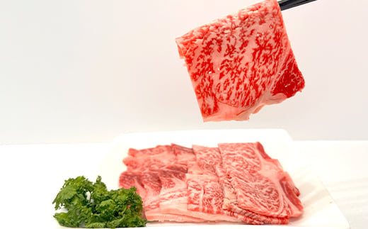 FK7-0233_くまもとあか牛 焼肉用カット 500g 牛肉 冷凍 九州 熊本県 熊本 嘉島