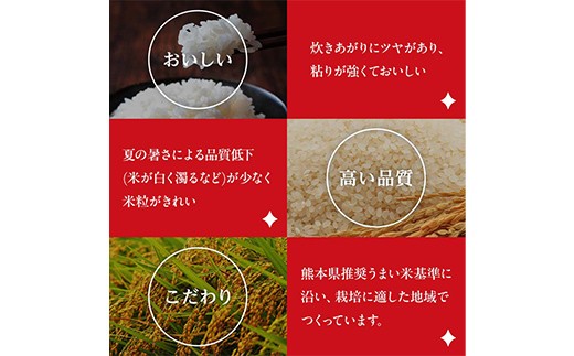 FK7-0274_【5カ月定期】【嘉島町産】くまさんの輝き 10kg 米 お米 コメ ごはん ご飯 食品 九州 熊本県 熊本 嘉島