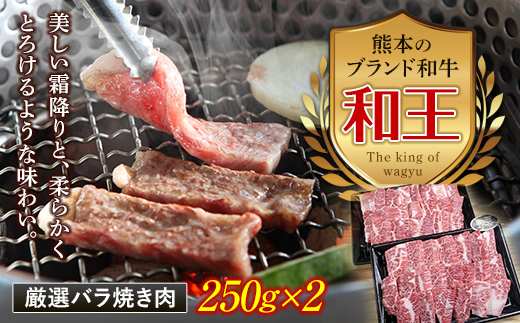 FKK19-205 熊本和王 厳選バラ焼き肉 500g