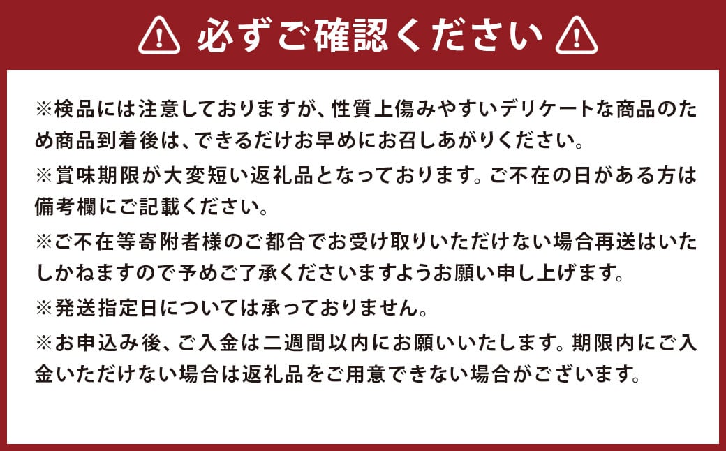 生栗 クリ 大粒 2L以上 約3kg くり マロン【2026年9月上旬～10月上旬発送予定】