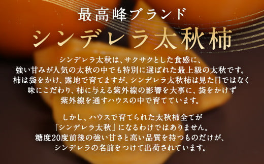 【2024年11月上旬～12月下旬発送予定】シンデレラ 太秋柿 化粧箱入り 小玉 7玉 約2kg