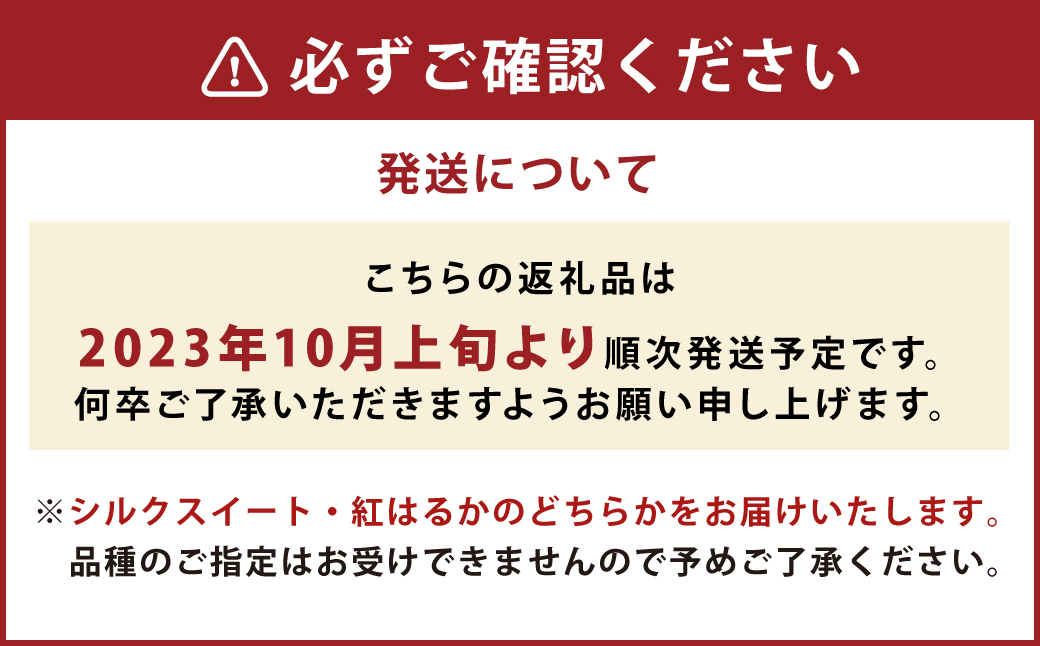 【2023年10月上旬発送開始】 産地直送！ さつまいも シルクスイート 紅はるか 約10kg 熊本県 益城町産 焼き芋 ふかし芋 大学芋